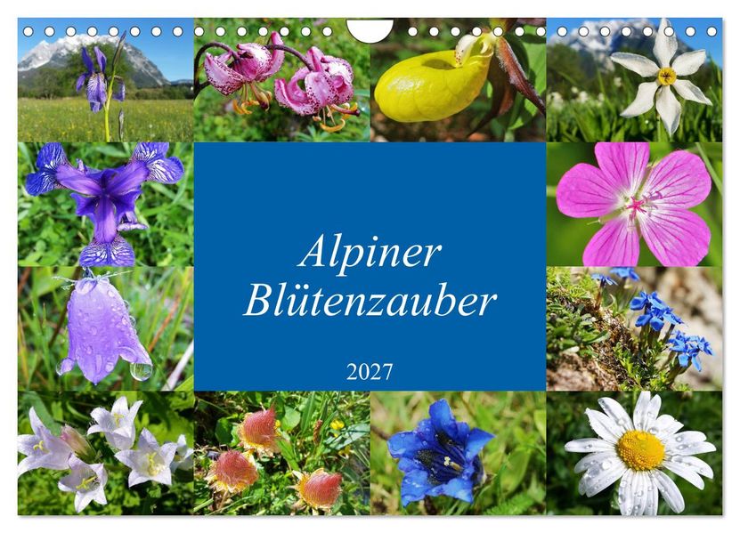 Alpiner Blütenzauber (Wandkalender 2027 DIN A4 quer) CALVENDO Monatskalender