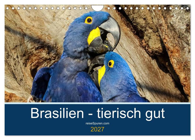 Brasilien tierisch gut 2027 (Wandkalender 2027 DIN A4 quer) CALVENDO Monatskalender
