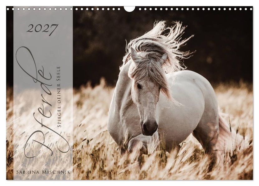 Pferde - Spiegel deiner Seele (Wandkalender 2027 DIN A3 quer) CALVENDO Monatskalender