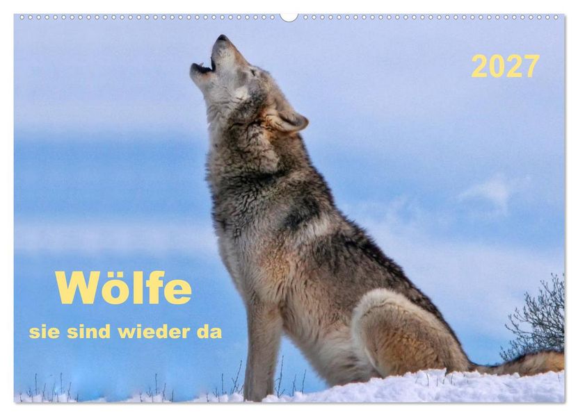 Wölfe - sie sind wieder da (Wandkalender 2027 DIN A2 quer) CALVENDO Monatskalender