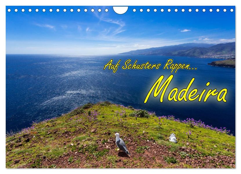 Auf Schusters Rappen... Madeira (Wandkalender 2027 DIN A4 quer) CALVENDO Monatskalender