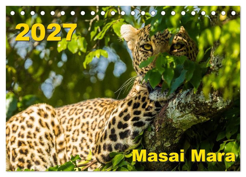 Masai Mara 2027 (Tischkalender 2027 DIN A5 quer) CALVENDO Monatskalender
