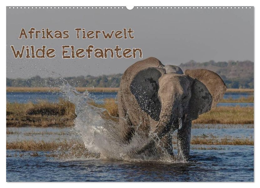 Afrikas Tierwelt - Wilde Elefanten (Wandkalender 2027 DIN A2 quer) CALVENDO Monatskalender