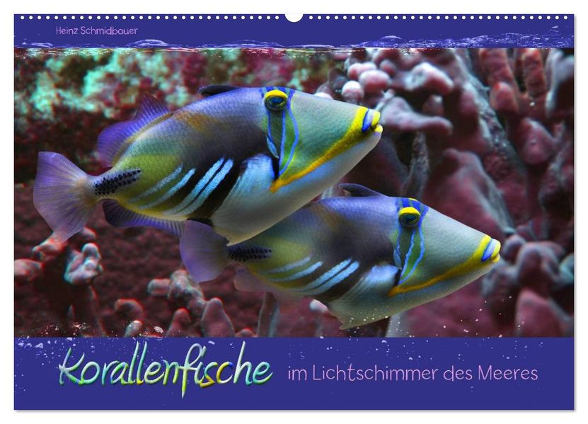 Korallenfische im Lichtschimmer des Meeres (Wandkalender 2027 DIN A2 quer) CALVENDO Monatskalender