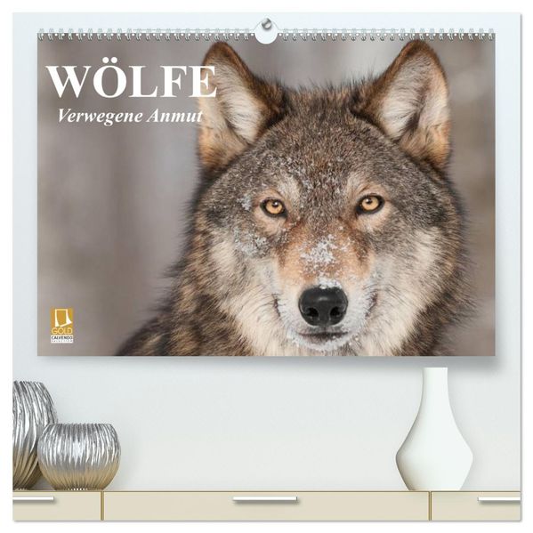 Wölfe. Verwegene Anmut (hochwertiger Premium Wandkalender 2027 DIN A2 quer) Kunstdruck in Hochglanz