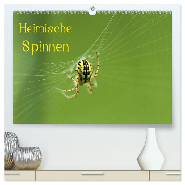 Heimische Spinnen (hochwertiger Premium Wandkalender 2027 DIN A2 quer) Kunstdruck in Hochglanz