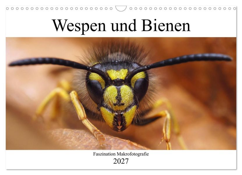 Faszination Makrofotografie: Wespen und Bienen (Wandkalender 2027 DIN A3 quer) CALVENDO Monatskalender