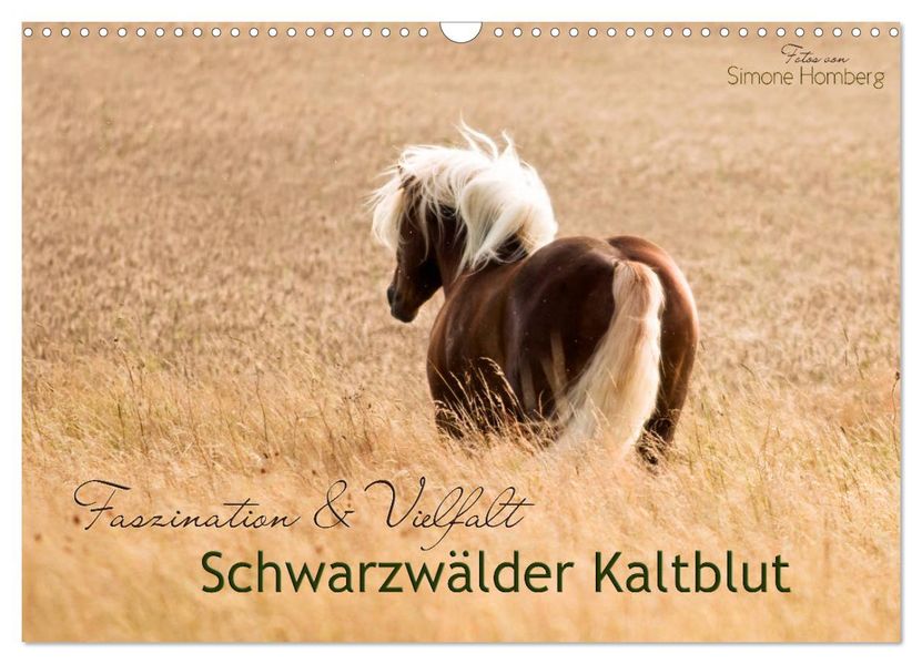 Faszination und Vielfalt - Schwarzwälder Kaltblut (Wandkalender 2027 DIN A3 quer) CALVENDO Monatskalender