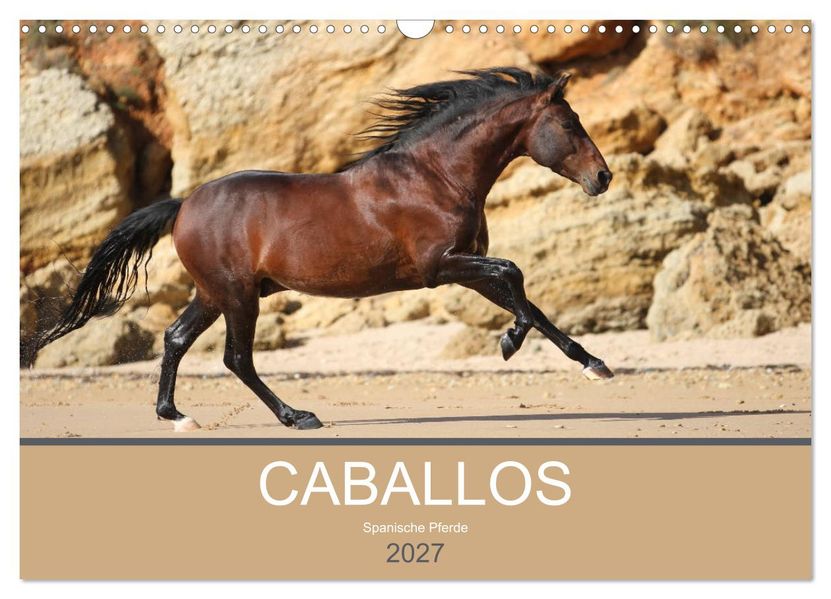 Caballos Spanische Pferde 2027 (Wandkalender 2027 DIN A3 quer) CALVENDO Monatskalender