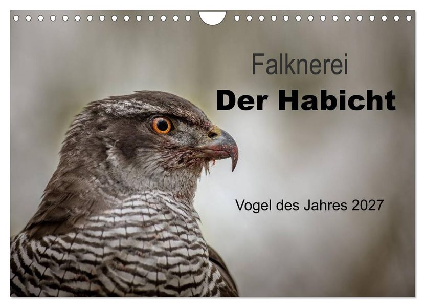 Falknerei Der Habicht (Wandkalender 2027 DIN A4 quer) CALVENDO Monatskalender