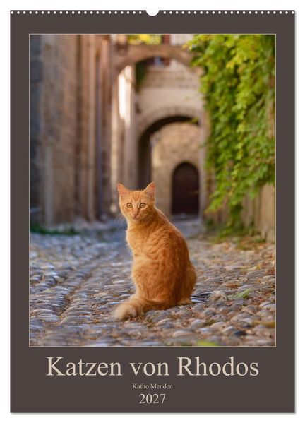 Katzen von Rhodos (Wandkalender 2027 DIN A2 hoch) CALVENDO Monatskalender