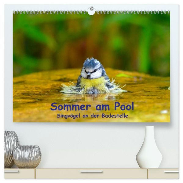 Sommer am Pool - Singvögel an der Badestelle (hochwertiger Premium Wandkalender 2027 DIN A2 quer) Kunstdruck in Hochglanz