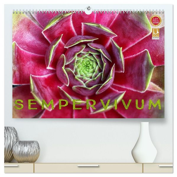 Sempervivum - Hauswurz (hochwertiger Premium Wandkalender 2027 DIN A2 quer) Kunstdruck in Hochglanz