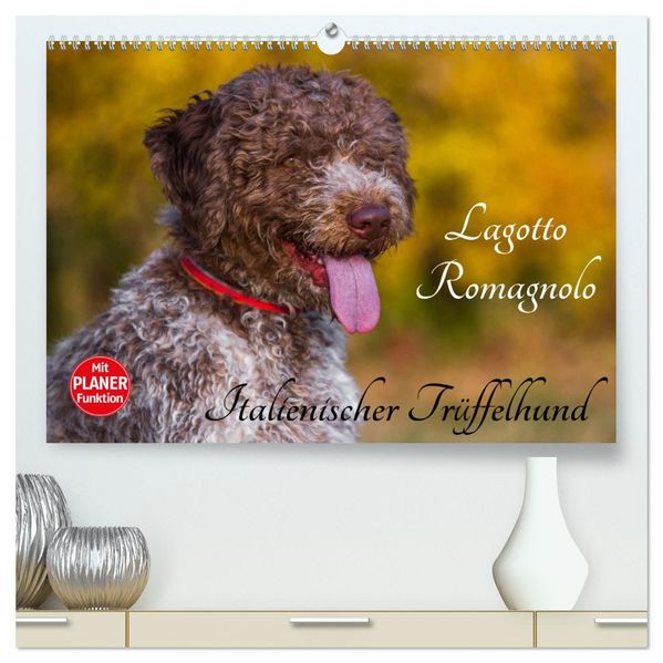 Lagotto Romagnolo - Italienischer Trüffelhund (hochwertiger Premium Wandkalender 2027 DIN A2 quer) Kunstdruck in Hochglanz