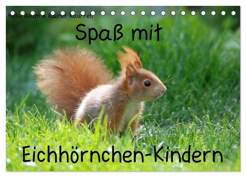 Spaß mit Eichhörnchen-Kindern (Tischkalender 2027 DIN A5 quer) CALVENDO Monatskalender