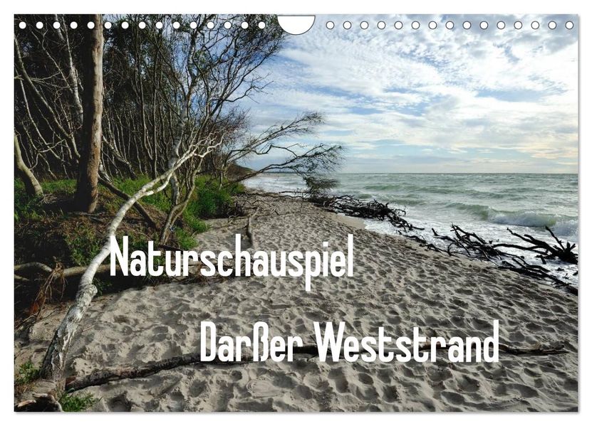 Naturschauspiel Darßer Weststrand (Wandkalender 2027 DIN A4 quer) CALVENDO Monatskalender