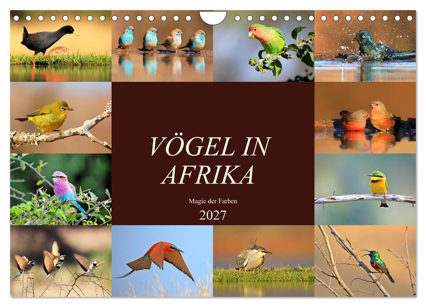 Vögel in Afrika - Magie der Farben (Wandkalender 2027 DIN A4 quer) CALVENDO Monatskalender