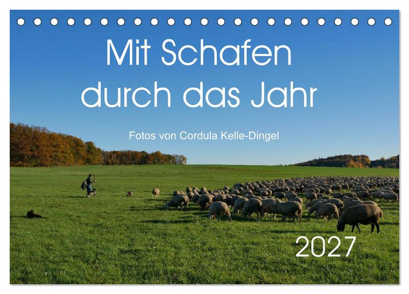 Mit Schafen durch das Jahr (Tischkalender 2027 DIN A5 quer) CALVENDO Monatskalender