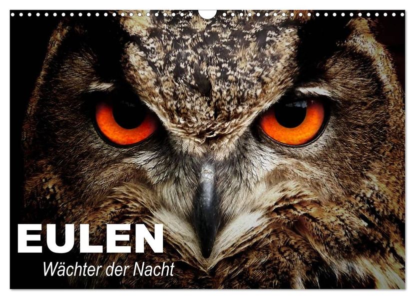 Eulen. Wächter der Nacht (Wandkalender 2027 DIN A3 quer) CALVENDO Monatskalender