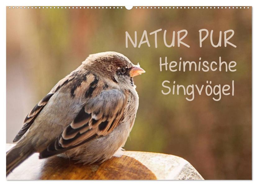 NATUR PUR Heimische Singvögel (Wandkalender 2027 DIN A2 quer) CALVENDO Monatskalender