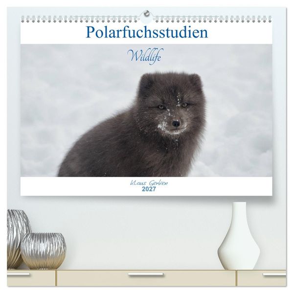 Polarfuchsstudien Wildlife (hochwertiger Premium Wandkalender 2027 DIN A2 quer) Kunstdruck in Hochglanz