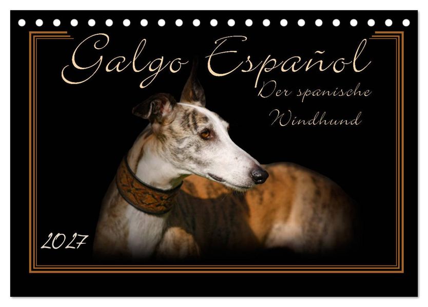 Galgo Español 2027- Der spanische Windhund (Tischkalender 2027 DIN A5 quer) CALVENDO Monatskalender