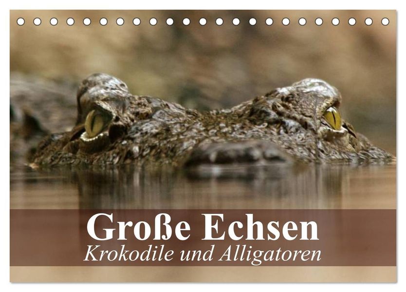Große Echsen. Krokodile und Alligatoren (Tischkalender 2027 DIN A5 quer) CALVENDO Monatskalender