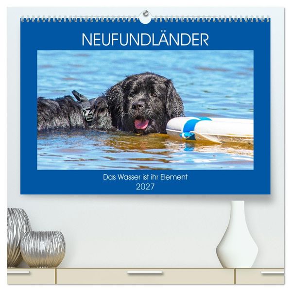 Neufundländer - Das Wasser ist ihr Element (hochwertiger Premium Wandkalender 2027 DIN A2 quer) Kunstdruck in Hochglanz