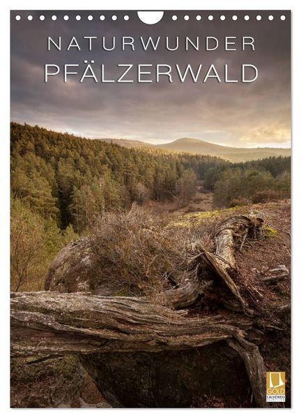 NATURWUNDER PFÄLZERWALD (Wandkalender 2027 DIN A4 hoch) CALVENDO Monatskalender