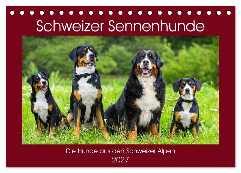 Schweizer Sennenhunde - die Hunde aus den Schweizer Alpen (Tischkalender 2027 DIN A5 quer) CALVENDO Monatskalender