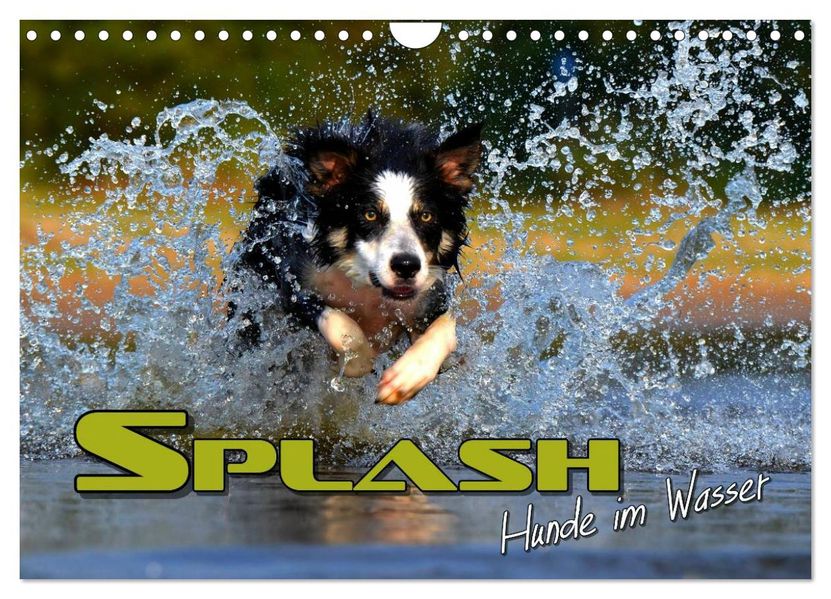 SPLASH - Hunde im Wasser (Wandkalender 2027 DIN A4 quer) CALVENDO Monatskalender