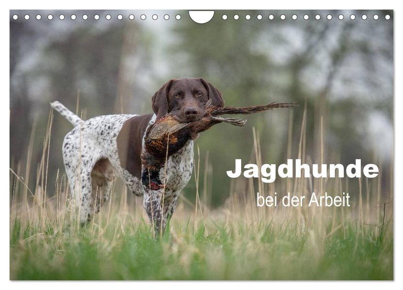 Jagdhunde bei der Arbeit (Wandkalender 2027 DIN A4 quer) CALVENDO Monatskalender