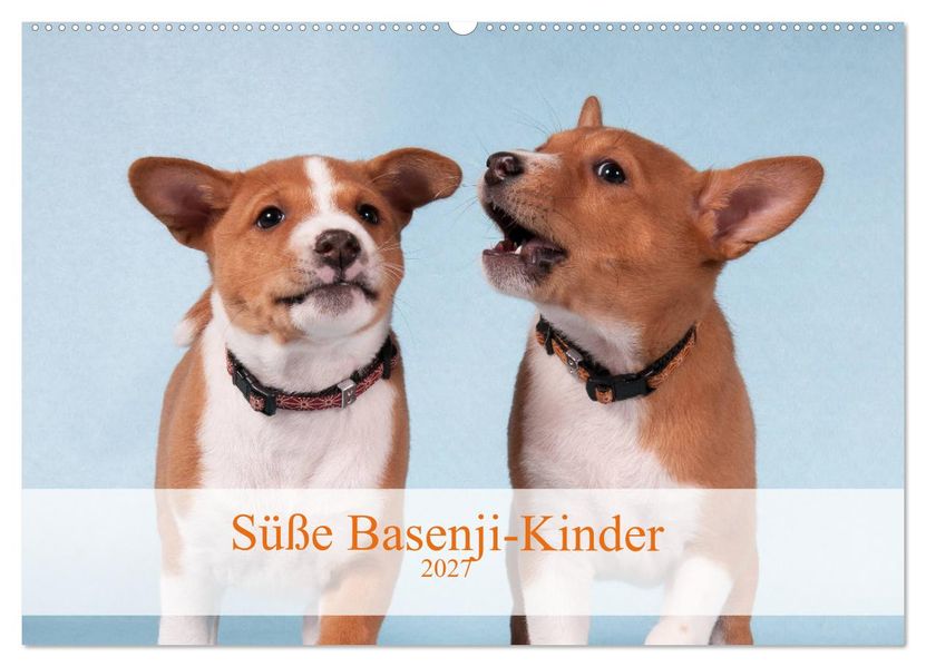 Süße Basenji-Kinder (Wandkalender 2027 DIN A2 quer) CALVENDO Monatskalender