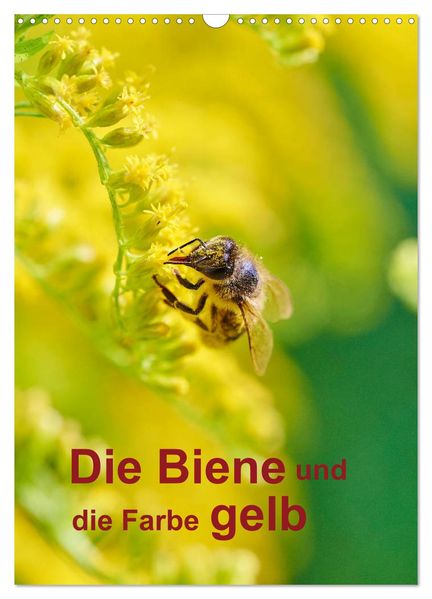 Die Biene und die Farbe gelb (Wandkalender 2027 DIN A3 hoch) CALVENDO Monatskalender