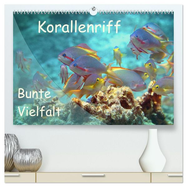 Bunte Vielfalt im Korallenriff (hochwertiger Premium Wandkalender 2027 DIN A2 quer) Kunstdruck in Hochglanz
