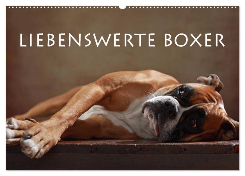 Liebenswerte Boxer (Wandkalender 2027 DIN A2 quer) CALVENDO Monatskalender