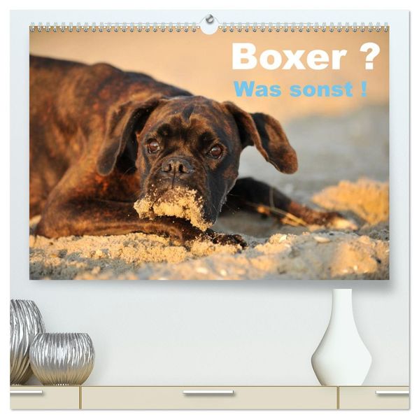 Boxer ? Was sonst ! (hochwertiger Premium Wandkalender 2027 DIN A2 quer) Kunstdruck in Hochglanz