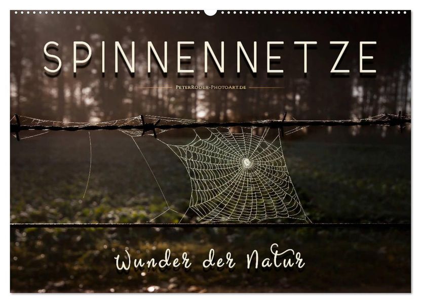 Spinnennetze - Wunder der Natur (Wandkalender 2027 DIN A2 quer) CALVENDO Monatskalender