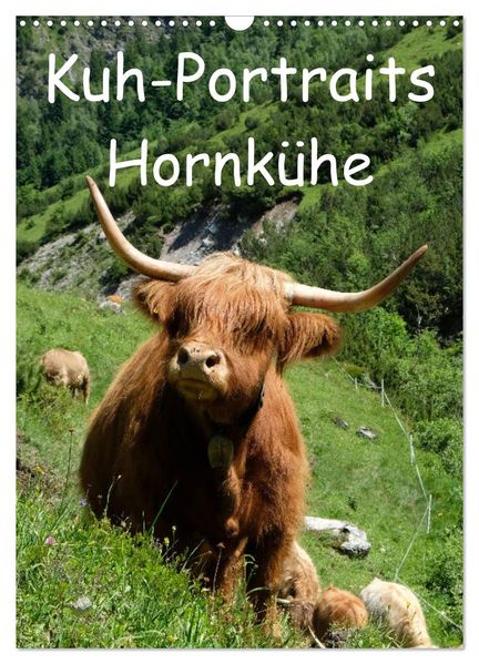 Kuhportraits Hornkühe (Wandkalender 2027 DIN A3 hoch) CALVENDO Monatskalender