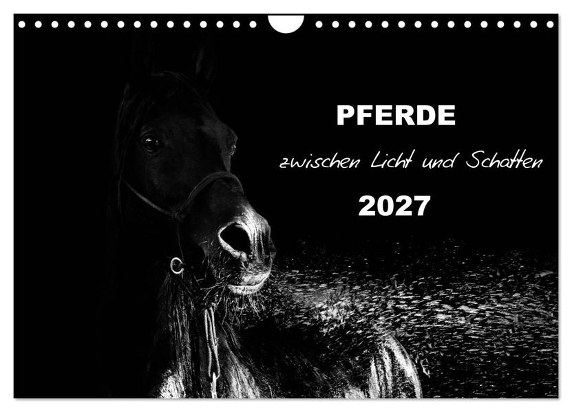 Pferde zwischen Licht und Schatten (Wandkalender 2027 DIN A4 quer) CALVENDO Monatskalender