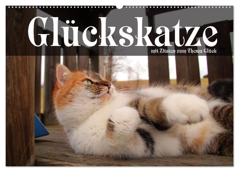 Glückskatze - Mit Zitaten zum Thema Glück (Wandkalender 2027 DIN A2 quer) CALVENDO Monatskalender