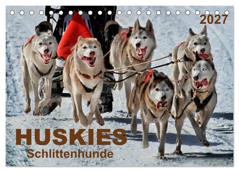 Huskies - Schlittenhunde (Tischkalender 2027 DIN A5 quer) CALVENDO Monatskalender