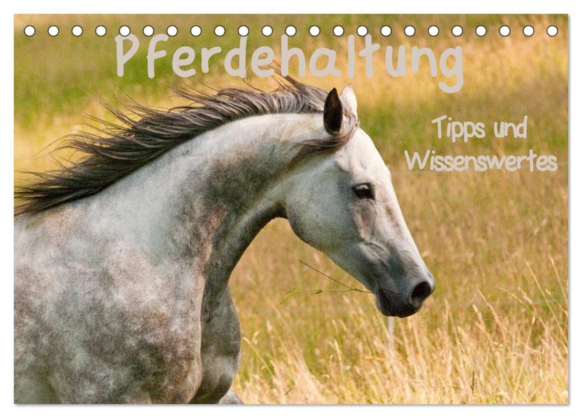 Pferdehaltung Tipps und Wissenswertes (Tischkalender 2027 DIN A5 quer) CALVENDO Monatskalender