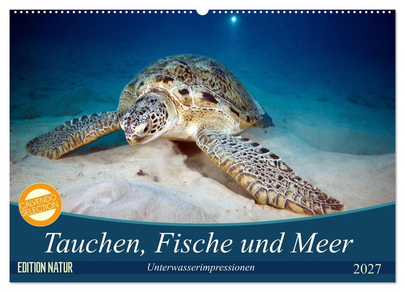 Tauchen Fische und Meer (Wandkalender 2027 DIN A2 quer) CALVENDO Monatskalender