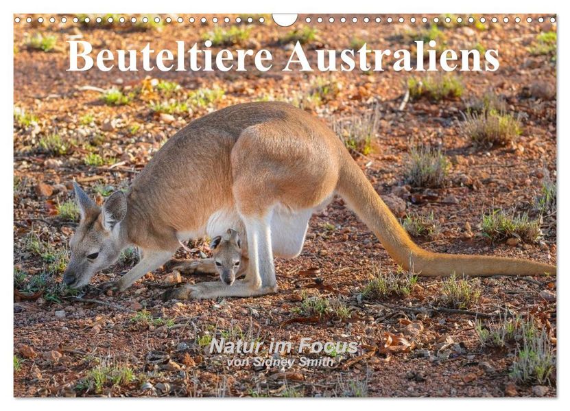 Beuteltiere Australiens (Wandkalender 2027 DIN A3 quer) CALVENDO Monatskalender