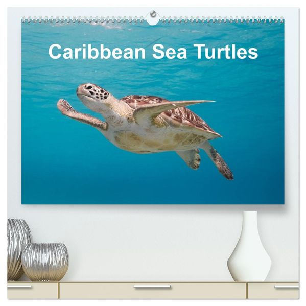 Caribbean Sea Turtles (High Quality Premium Wall Calendar 2027 DIN A2 landscape)CALVENDO 12 Month Wall Calendar