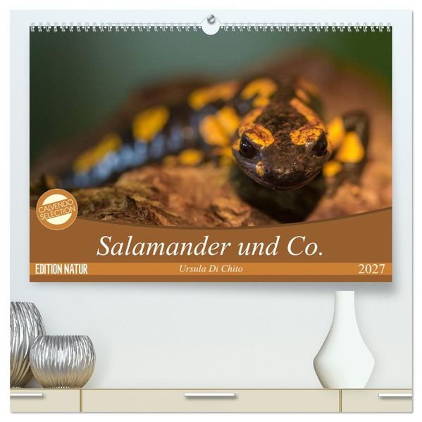 Salamander und Co. (hochwertiger Premium Wandkalender 2027 DIN A2 quer) Kunstdruck in Hochglanz