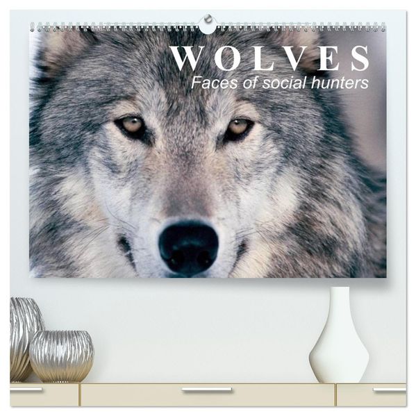 Wolves Faces of social hunters (High Quality Premium Wall Calendar 2027 DIN A2 landscape)CALVENDO 12 Month Wall Calendar