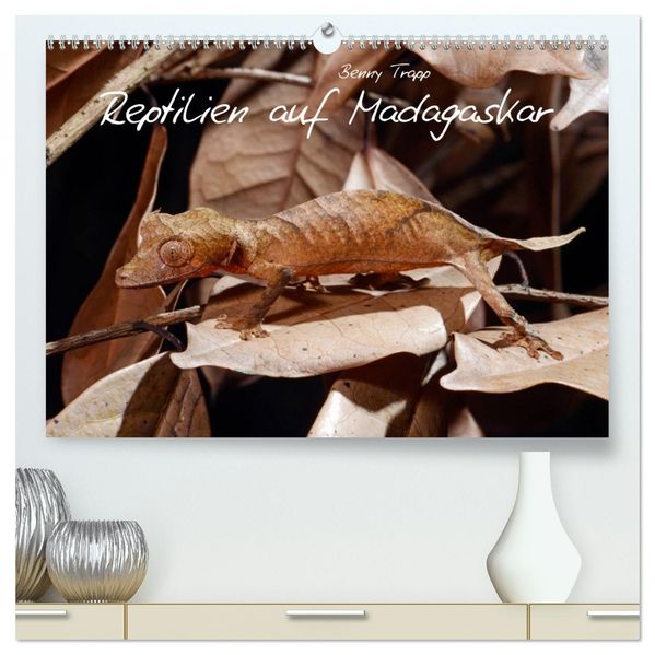 Reptilien auf Madagaskar (hochwertiger Premium Wandkalender 2027 DIN A2 quer) Kunstdruck in Hochglanz