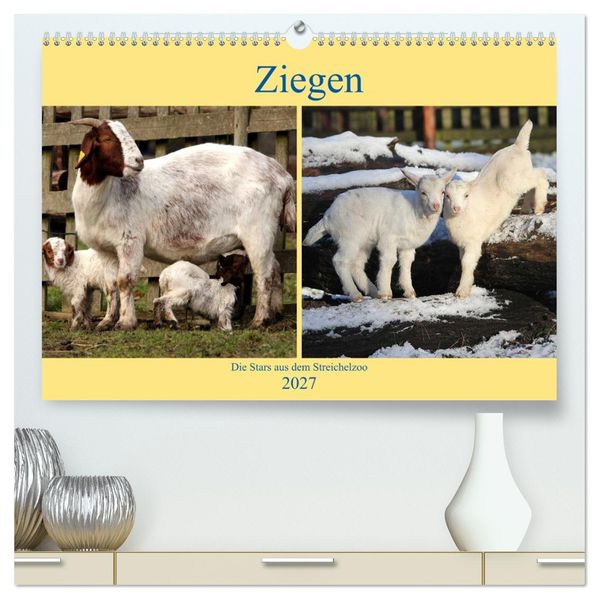 Ziegen - Die Stars aus dem Streichelzoo (hochwertiger Premium Wandkalender 2027 DIN A2 quer) Kunstdruck in Hochglanz